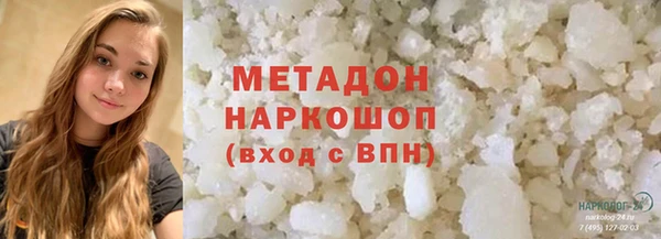 индика Бикин