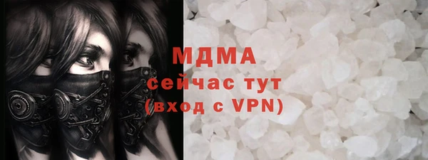 МДПВ Бородино