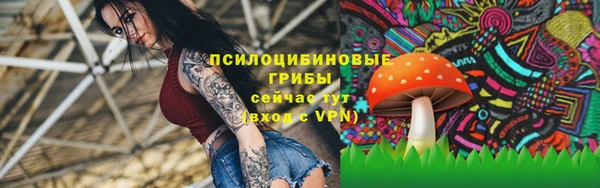 ALPHA PVP Верея
